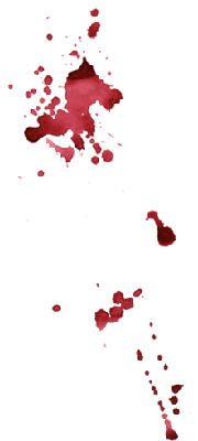 Test Alpha